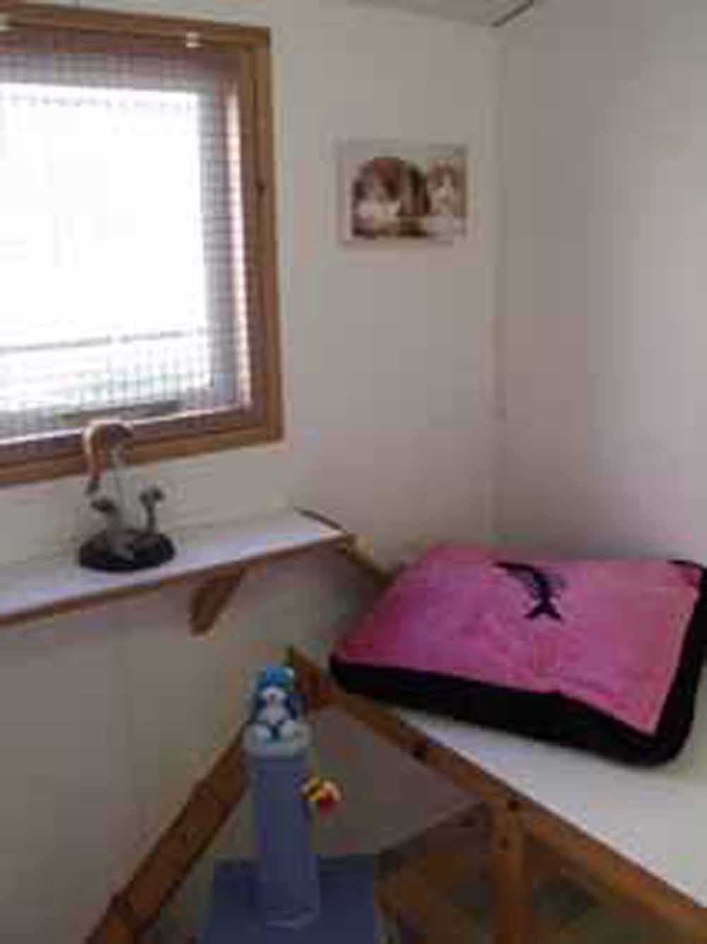 Animal Inn